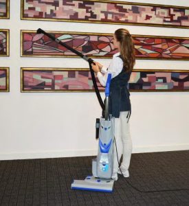 RX ECO FORCE aspirateur vertical