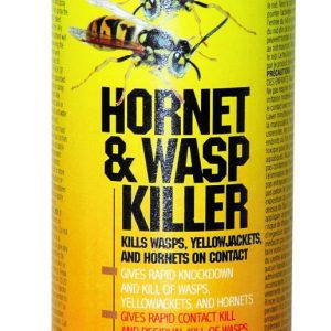 Insecticides pour guêpes et frelons