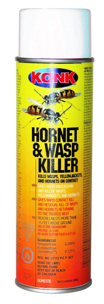 Wasp and hornet insecticide