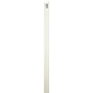 Satco S49949 8W T8 LED Tube 5000K