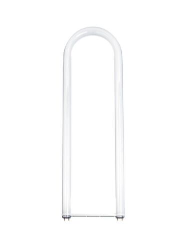 Satco S8462 32W T8 Tube 5000K